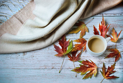 Autumn still life composition with cup of coffee and colorful dry leaves on wooden board and pastel gray scarf. Copy space. Top view.