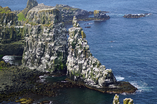 Rathlin Island is ideal for a day trip to simply enjoy solitude and tranquility. In good weather you can see as far as Scotland.The island is home to many birds and seals can be seen.