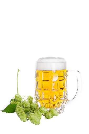 Light beer with hops isolated on white background