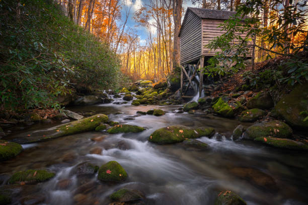 秋にミルの近くを流れる川 - waterfall great smoky mountains great smoky mountains national park tennessee ストックフォトと画像