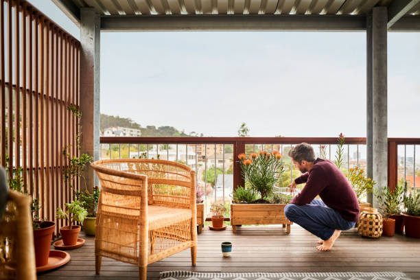 Watering his balcony plants Rear view of a young man giving water to plants at home fynbos photos stock pictures, royalty-free photos & images