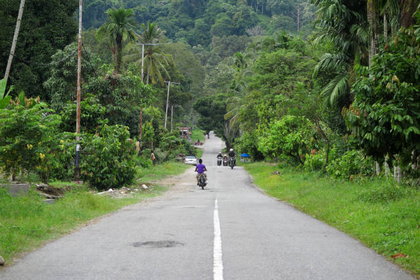 istock Road thru the jungle in Indonesia 1286533933