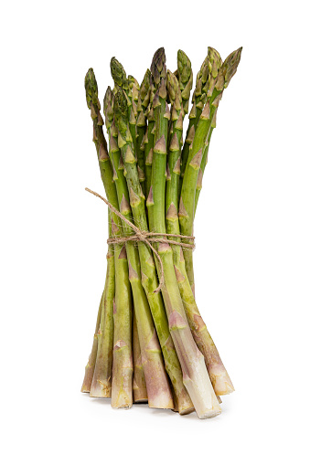 A group of asparagus wrapped in twine stand together on a white background.