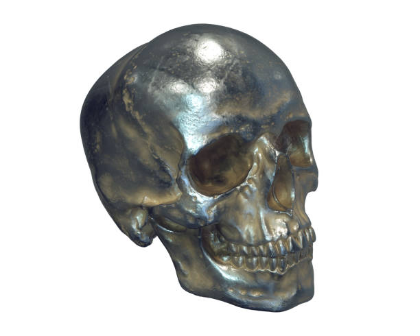 istock 3D illustration of metallic human skull isolated on white background 1286535325