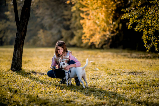 istock Casual dressed  girl playing with cheerful white jack Russel dog during epidemic 1286536607