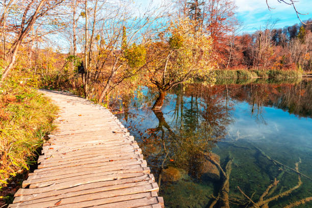 istock Wooden path on Plitvice lakes National park, Croatia 1286537043