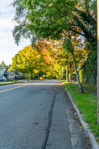 istock Burien Street In Fall 6 1286541457