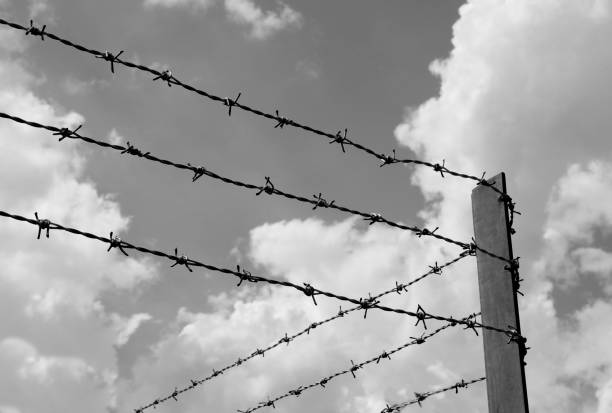 istock barbed wire protection in the prison border 1286541562