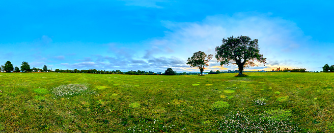Panoramic image of field at sunset with some clouds and trees in the field. Jersey Channel Islands