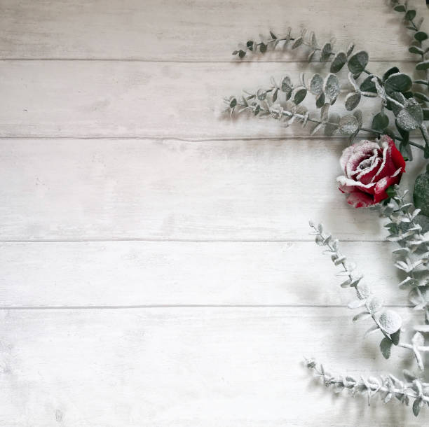 Winter composition Flocked eucalyptus branches and red rose on white wooden surface shot from above. Top view, flat lay, copy space. Christmas and New year composition. Winter background with space for text. artificial flower stock pictures, royalty-free photos & images