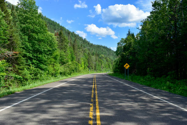 istock The road in the forest in Canada 1286547089
