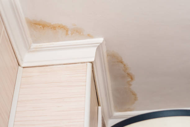 i vicini hanno una perdita d'acqua, soffitto danneggiato dall'acqua, primo primo alto di una macchia sul soffitto - water stain foto e immagini stock