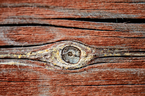 Eye shape on wood background.