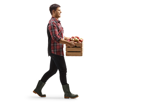 Full length profile shot of a young man walking and carrying a crate with apples isolated on white background