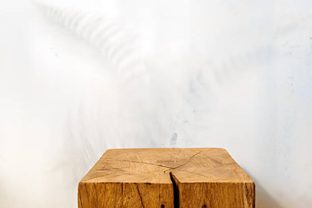 istock Wooden showcase with fern leaf shadow on plastered wall 1286551182