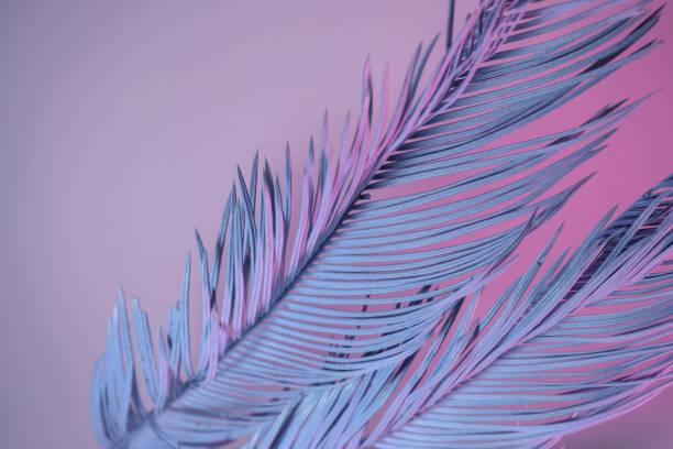 istock Close up beautiful palm leaf in neon light. Minimalism retro style concept. Background pattern texture for design. 1286552669