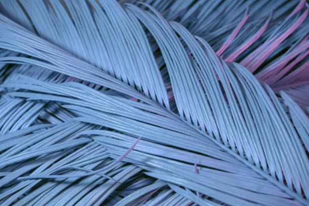 istock Close up beautiful palm leaf in neon light. Minimalism retro style concept. Background pattern texture for design. 1286553341