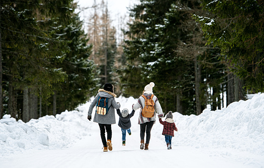 Vista trasera de la familia con dos niños pequeños en la naturaleza de invierno, caminando en la nieve. photo