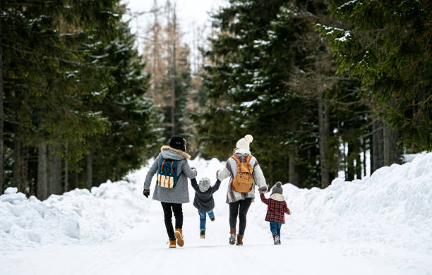 vue arrière de la famille avec deux jeunes enfants dans la nature d’hiver, marchant dans la neige. - hiver photos et images de collection