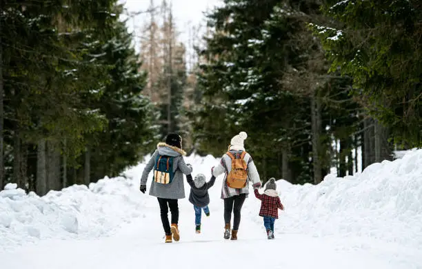 Rear view of family with two small children holding hands in winter nature, walking in the snow.