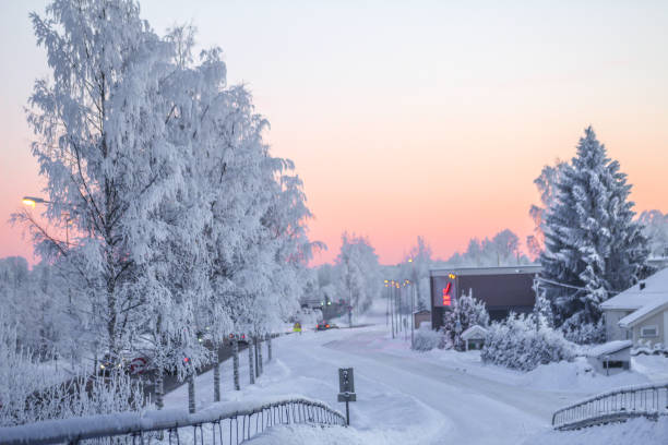 istock Hoarfrost and snow in Gardemoen forest 1286557043