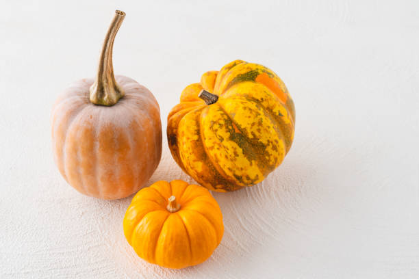 istock Pumpkins close up on white background with copy space 1286563392