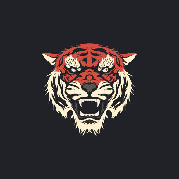 illustrazioni stock, clip art, cartoni animati e icone di tendenza di pulire angry tiger testa mascotte tatuaggio t-shirt design vector illustrazione - tiger roaring danger power