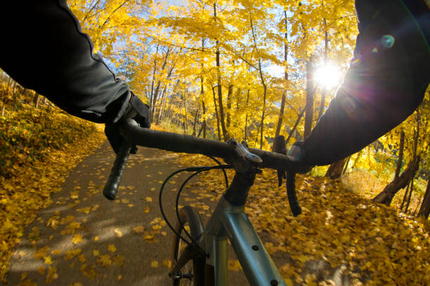 istock Autumn Road Bicycle Sunbeam 1286566529