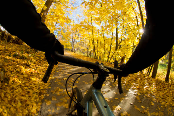 istock Autumn Road Bicycle Adventure 1286567103