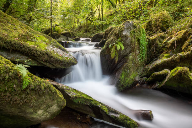 istock Watersmeet in Exmoor National Park 1286568084