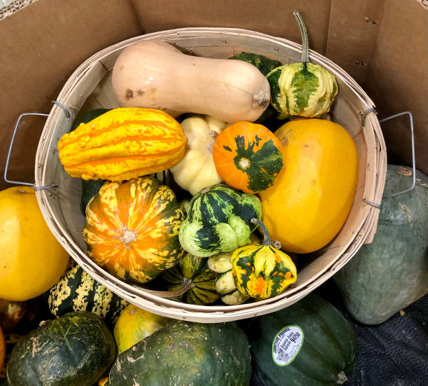 istock Winter squash varieties in a wood basket 1286568921