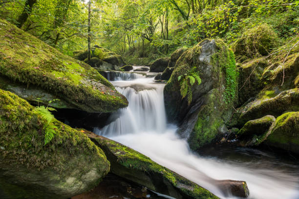 istock Watersmeet in Exmoor National Park 1286569317
