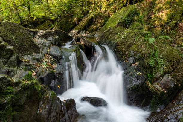 istock Watersmeet in Exmoor National Park 1286569323