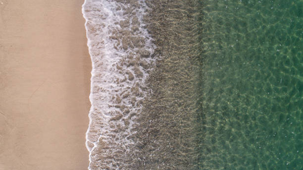 istock Top view landscape scene of waves crashing on empty tropical beach 1286569422