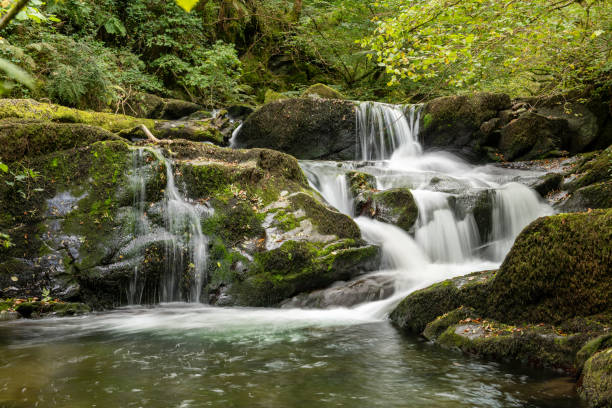 watersmeet w parku narodowym exmoor - exmoor national park zdjęcia i obrazy z banku zdjęć