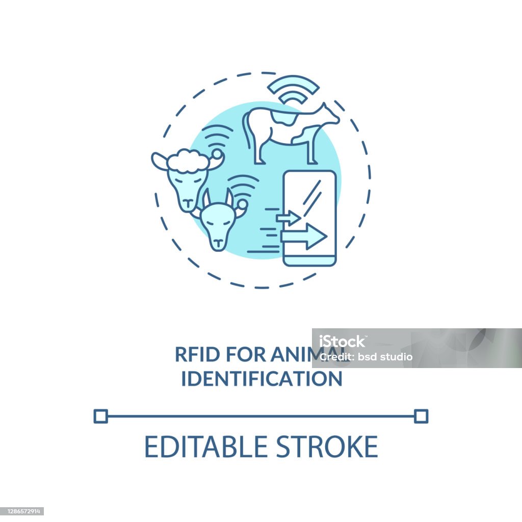 Rfid For Animal Identification Concept Icon Stock Illustration - Download  Image Now - Abstract, Agricultural Field, Agriculture - iStock