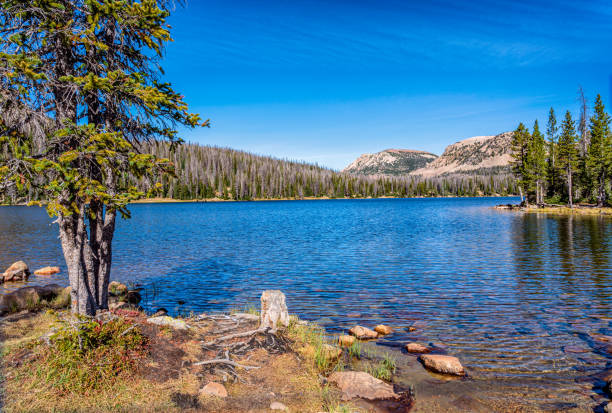 mirror lake in den uinta mountains in utah - see mirror lake stock-fotos und bilder