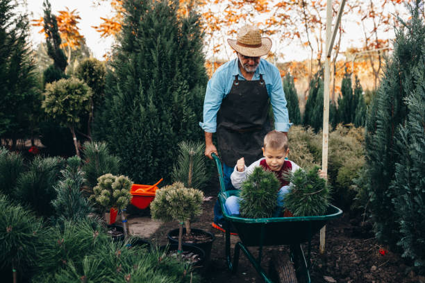 istock boy with his grandfather at tree nursery 1286576156