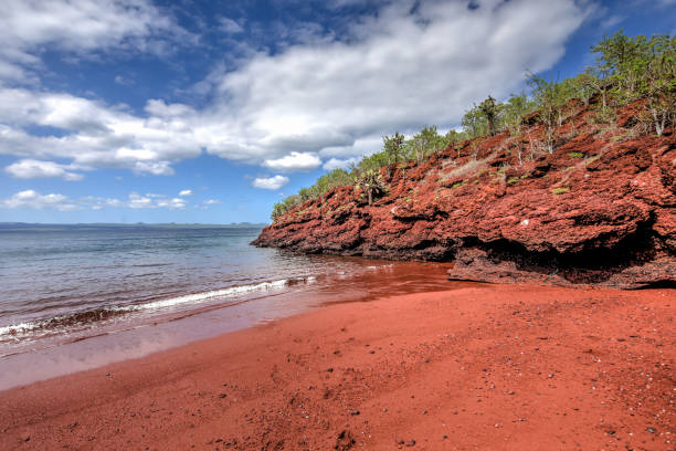 las espectaculares costas de roca roja y la flora de la isla de rabida en las galápagos - marine iguana fotografías e imágenes de stock