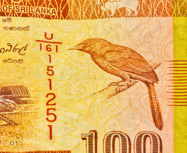 istock fragment of 100 Sri Lankan rupee bank note closeup 1286578337