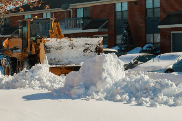 pług śnieżny ciężarówka rozliczeń drogi po zimowej burzy śnieżnej dla dostępu do pojazdu - clear sky construction vehicle bulldozer commercial land vehicle zdjęcia i obrazy z banku zdjęć