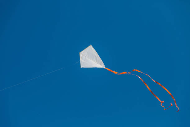 istock White red tailed kite flying against blue clear sky. 1286584447