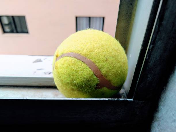 Tennis ball on the window
