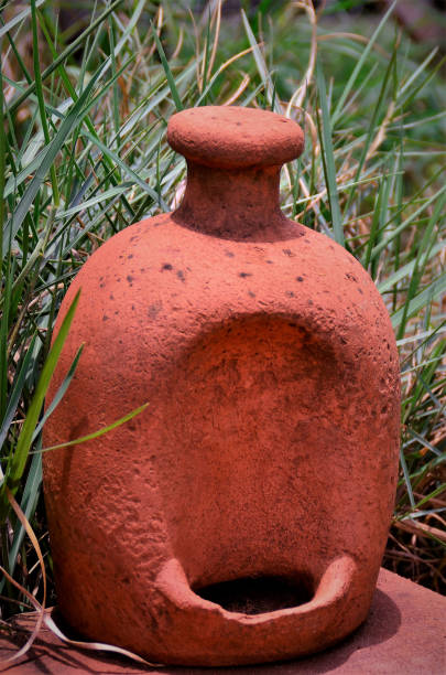 istock A bird drinking fountain on the floor in the backyard 1286584744