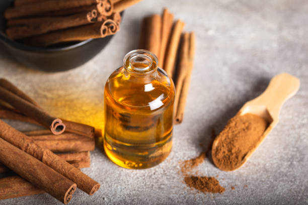 istock Essential cinnamon oil in a small bottle, ground cinnamon and cinnamon sticks on stone background. 1286585535