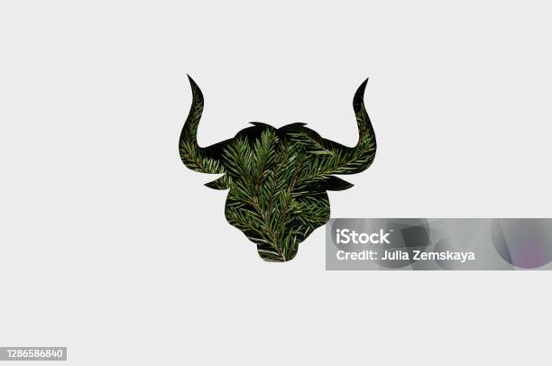 Happy Bull Year Christmas Tendy Card 2021 Silhouette Of A Green Bull Stock Photo - Download Image Now