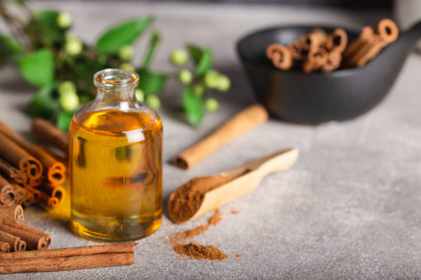 Essential cinnamon oil in a small bottle, ground cinnamon and cinnamon sticks on stone background.