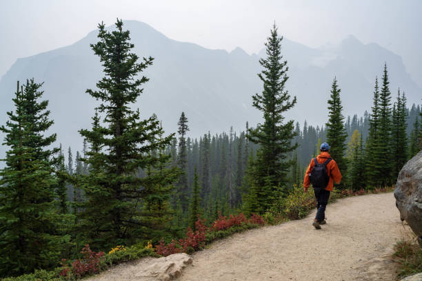 istock Trail of Banff National Park 1286590852