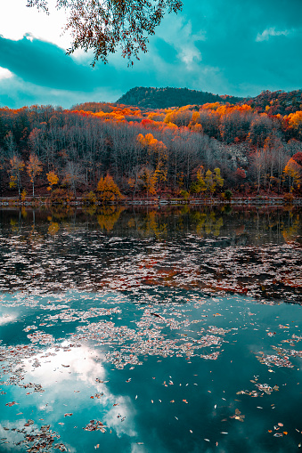 Sonbahar mevsimi renklerine bürünen ormanın gölde yansıma fotoğrafı. arka plan fotoğrafı. full frame makine ile çekilmiştir.