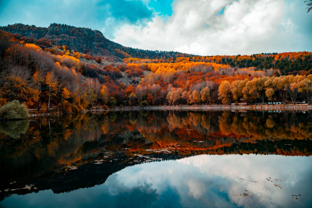 가을 색상의 배경 - yellow landscapes nature park 뉴스 사진 이미지